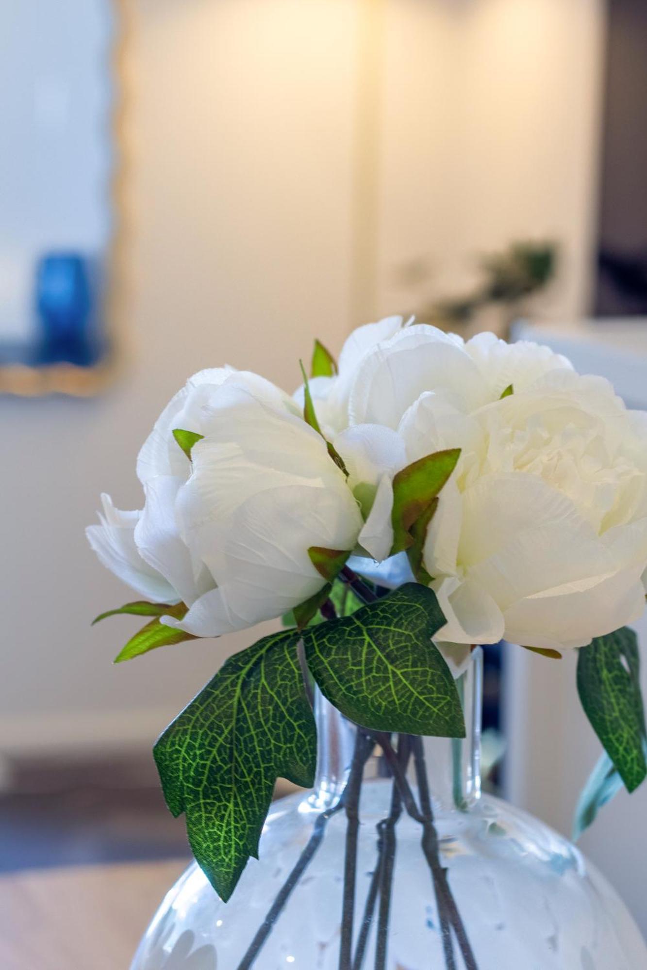 Explore From 8 Wilmer: Upper Level Cozy Studio ไครสต์เชิร์ช ภายนอก รูปภาพ