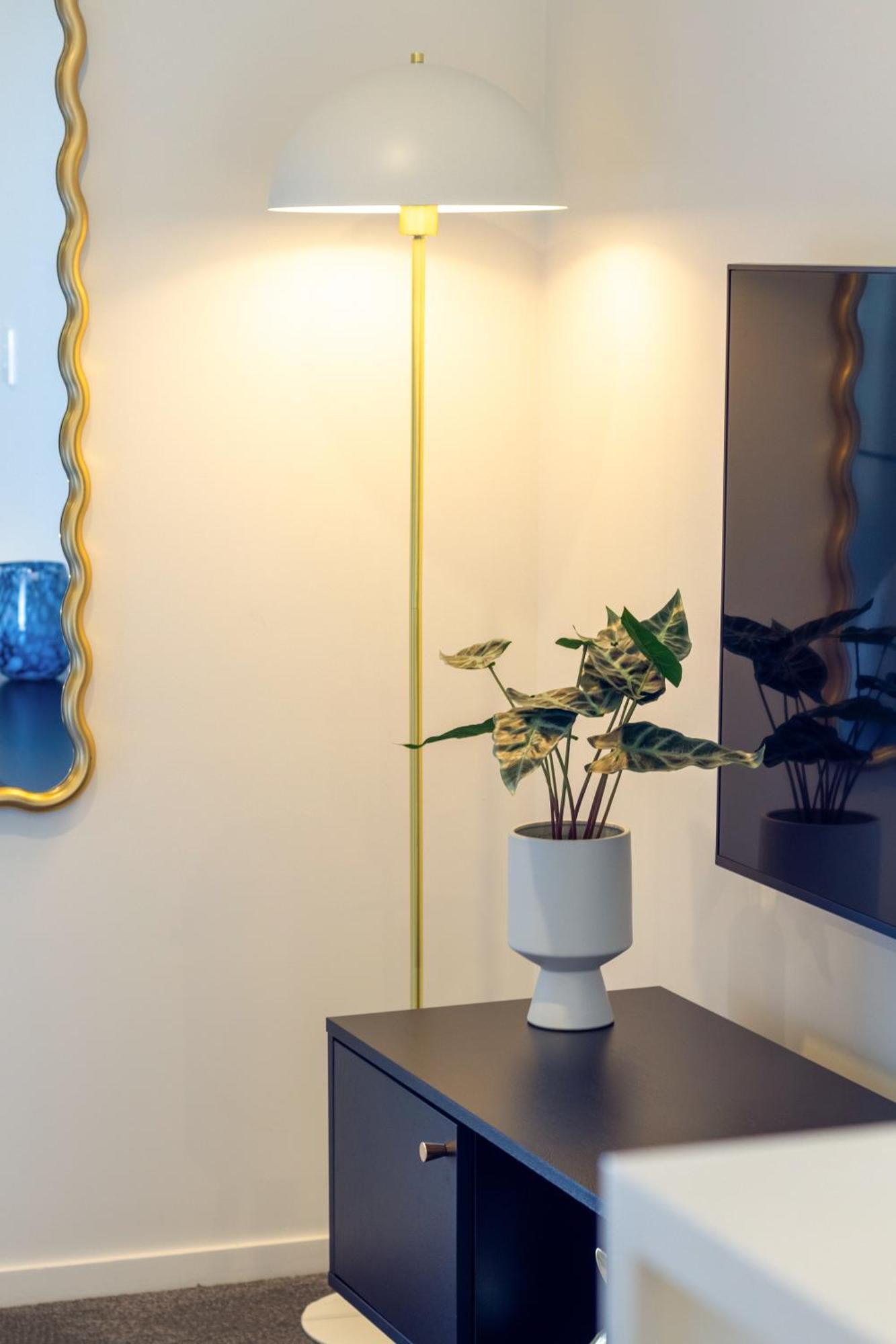 Explore From 8 Wilmer: Upper Level Cozy Studio ไครสต์เชิร์ช ภายนอก รูปภาพ
